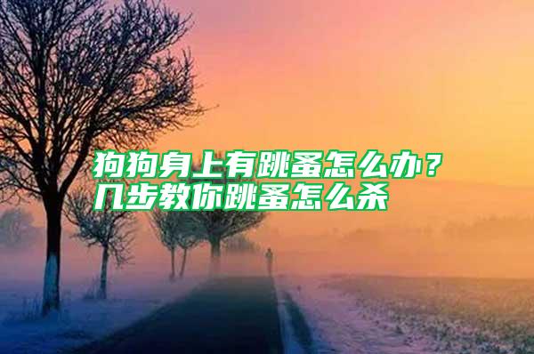 狗狗身上有跳蚤怎么辦？幾步教你跳蚤怎么殺