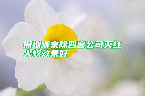 深圳哪家除四害公司滅紅火蟻效果好