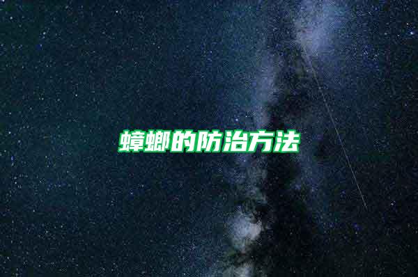 蟑螂的防治方法