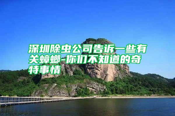 深圳除蟲公司告訴一些有關(guān)蟑螂-你們不知道的奇特事情