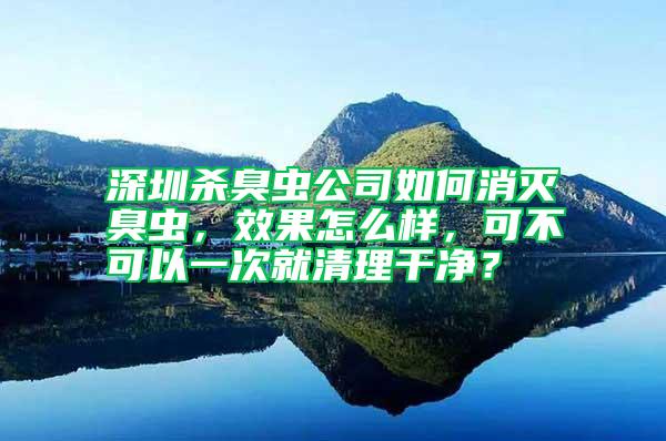 深圳殺臭蟲公司如何消滅臭蟲，效果怎么樣，可不可以一次就清理干凈？