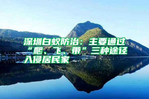 深圳白蟻防治：主要通過“爬、飛、帶”三種途徑入侵居民家