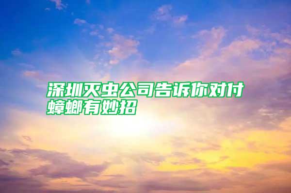 深圳滅蟲公司告訴你對(duì)付蟑螂有妙招