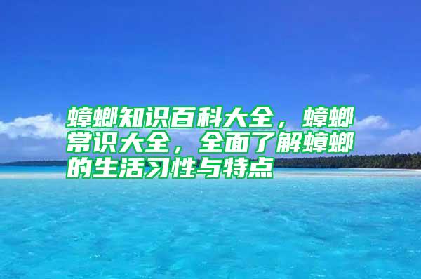 蟑螂知識百科大全，蟑螂常識大全，全面了解蟑螂的生活習性與特點