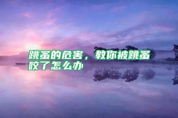 跳蚤的危害，教你被跳蚤咬了怎么辦