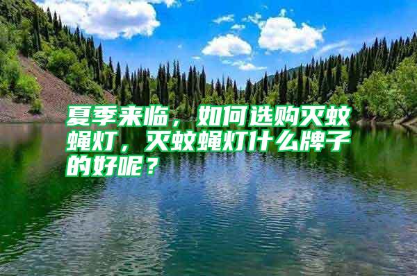 夏季來臨，如何選購(gòu)滅蚊蠅燈，滅蚊蠅燈什么牌子的好呢？