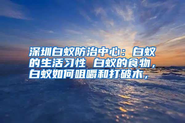 深圳白蟻防治中心：白蟻的生活習性 白蟻的食物，白蟻如何咀嚼和打破木，