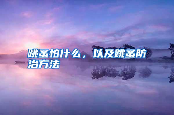 跳蚤怕什么，以及跳蚤防治方法