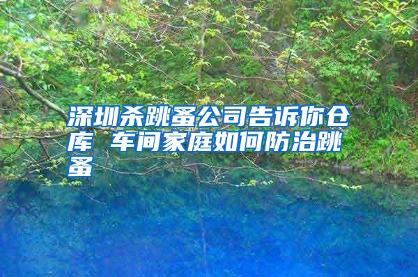 深圳殺跳蚤公司告訴你倉庫 車間家庭如何防治跳蚤