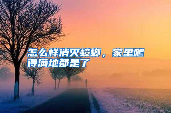 怎么樣消滅蟑螂，家里爬得滿地都是了