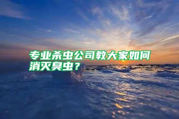 專業(yè)殺蟲公司教大家如何消滅臭蟲？