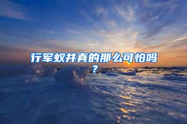 行軍蟻并真的那么可怕嗎？