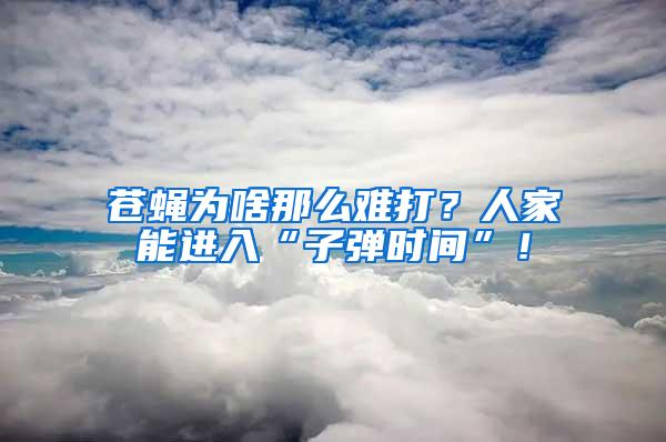 蒼蠅為啥那么難打？人家能進(jìn)入“子彈時(shí)間”！