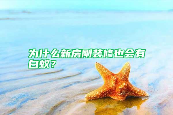 為什么新房剛裝修也會(huì)有白蟻？