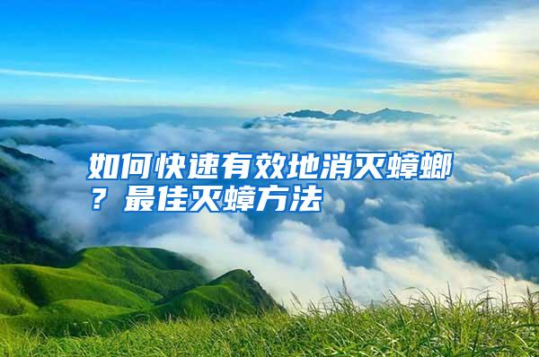 如何快速有效地消滅蟑螂？最佳滅蟑方法