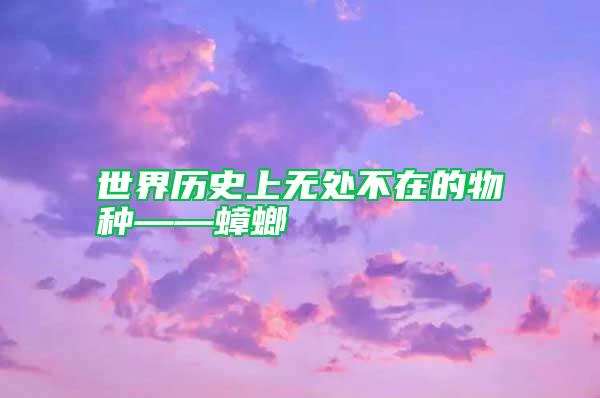 世界歷史上無處不在的物種——蟑螂