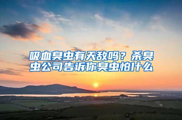 吸血臭蟲(chóng)有天敵嗎？殺臭蟲(chóng)公司告訴你臭蟲(chóng)怕什么