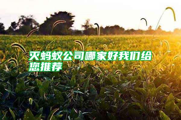 滅螞蟻公司哪家好我們給您推薦