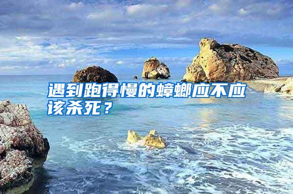 遇到跑得慢的蟑螂應(yīng)不應(yīng)該殺死？