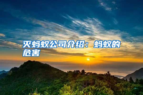 滅螞蟻公司介紹：螞蟻的危害