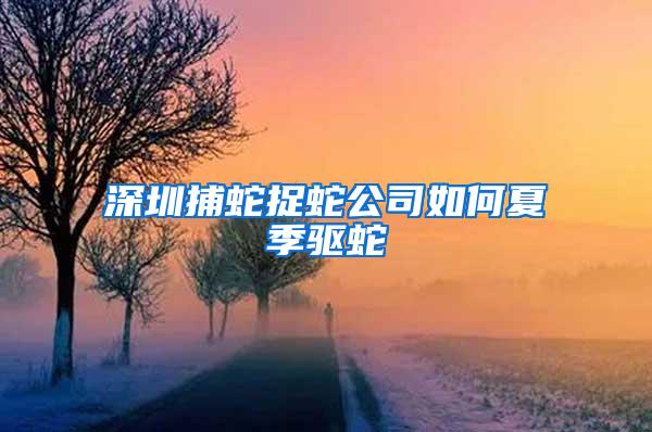 深圳捕蛇捉蛇公司如何夏季驅(qū)蛇