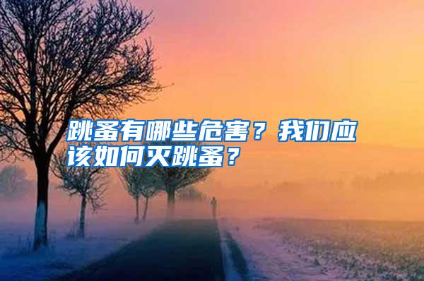 跳蚤有哪些危害？我們應(yīng)該如何滅跳蚤？