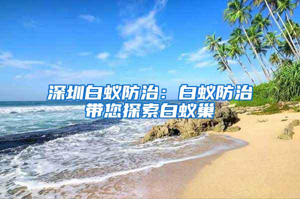 深圳白蟻防治：白蟻防治帶您探索白蟻巢