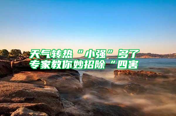 天氣轉熱“小強”多了 專家教你妙招除“四害