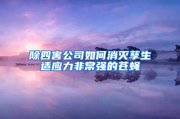 除四害公司如何消滅孳生適應(yīng)力非常強(qiáng)的蒼蠅