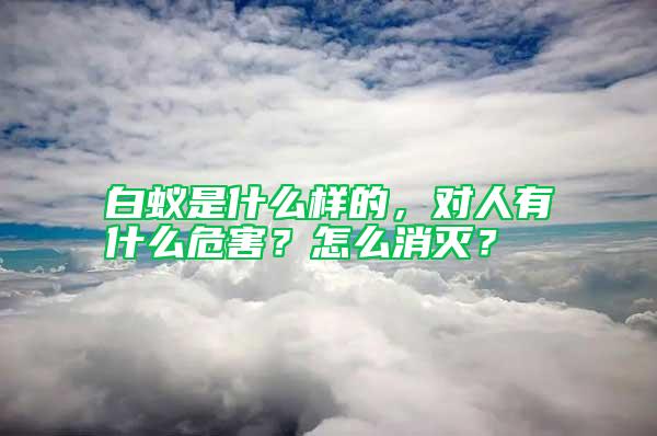 白蟻是什么樣的，對(duì)人有什么危害？怎么消滅？