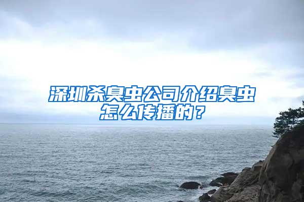 深圳殺臭蟲公司介紹臭蟲怎么傳播的？