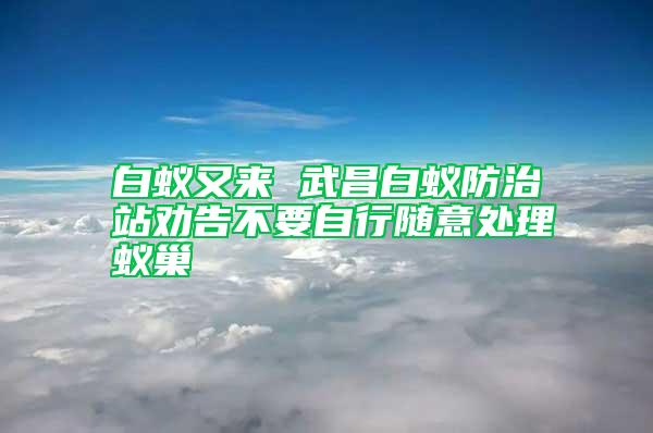 白蟻又來(lái) 武昌白蟻防治站勸告不要自行隨意處理蟻巢