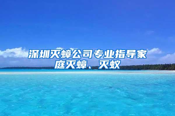 深圳滅蟑公司專業(yè)指導(dǎo)家庭滅蟑、滅蟻