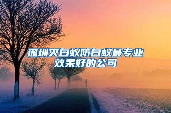 深圳滅白蟻防白蟻?zhàn)顚I(yè)效果好的公司