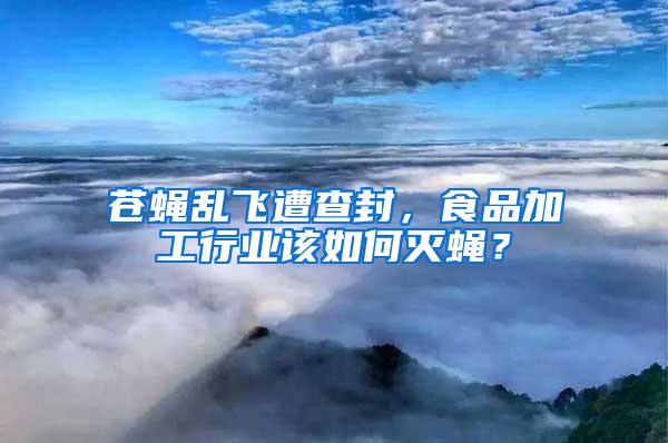 蒼蠅亂飛遭查封，食品加工行業(yè)該如何滅蠅？