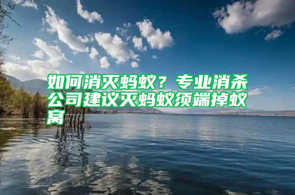 如何消滅螞蟻？專業(yè)消殺公司建議滅螞蟻須端掉蟻窩