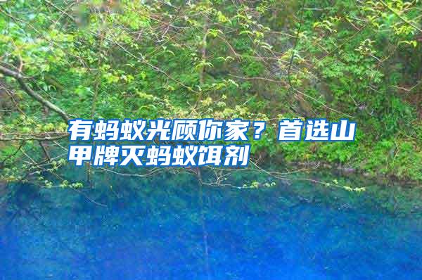 有螞蟻光顧你家？首選山甲牌滅螞蟻餌劑