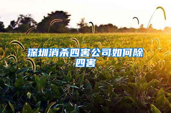 深圳消殺四害公司如何除四害