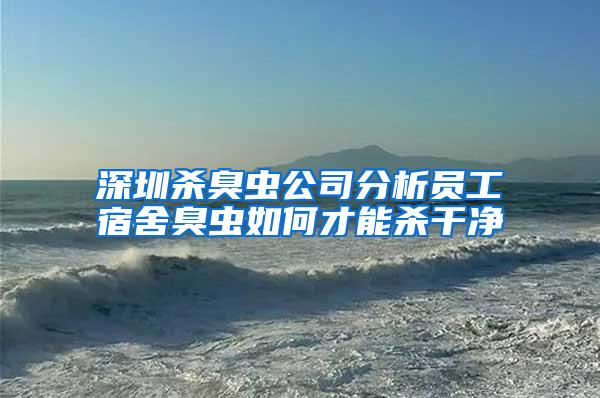 深圳殺臭蟲公司分析員工宿舍臭蟲如何才能殺干凈