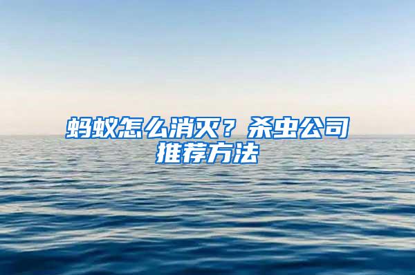 螞蟻怎么消滅？殺蟲公司推薦方法