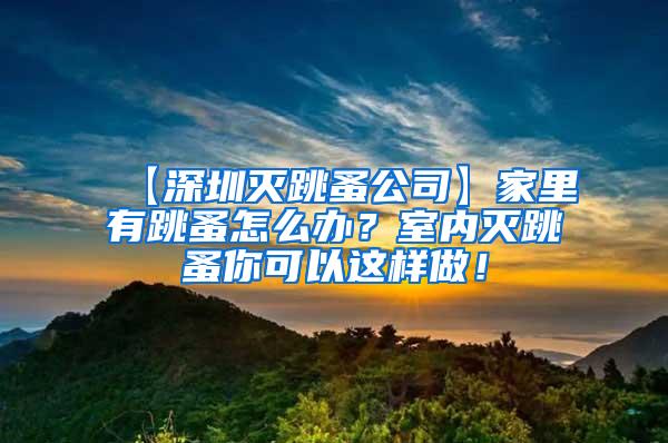 【深圳滅跳蚤公司】家里有跳蚤怎么辦？室內(nèi)滅跳蚤你可以這樣做！