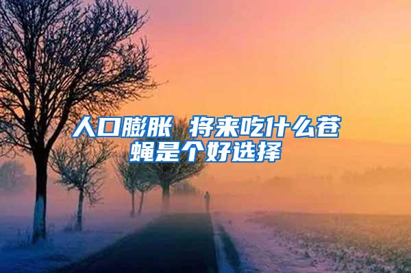 人口膨脹 將來吃什么蒼蠅是個好選擇