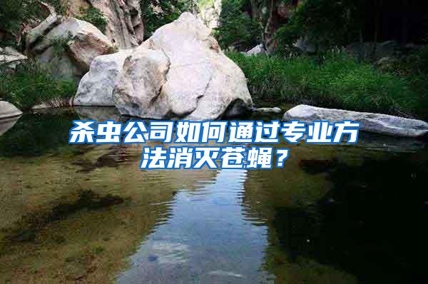 殺蟲公司如何通過專業(yè)方法消滅蒼蠅？