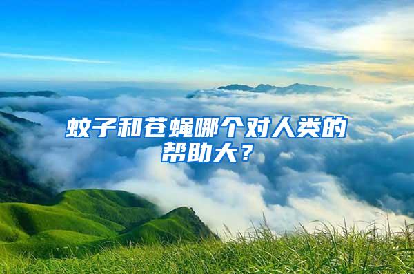 蚊子和蒼蠅哪個(gè)對(duì)人類(lèi)的幫助大？