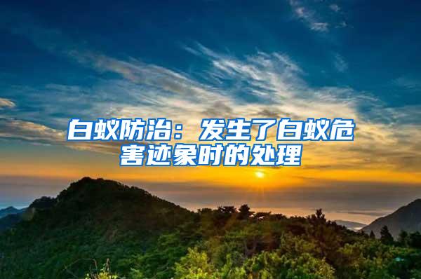 白蟻防治：發(fā)生了白蟻危害跡象時的處理