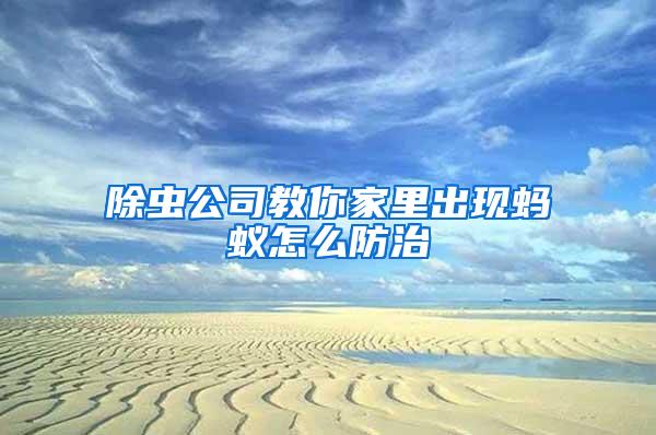 除蟲公司教你家里出現(xiàn)螞蟻怎么防治