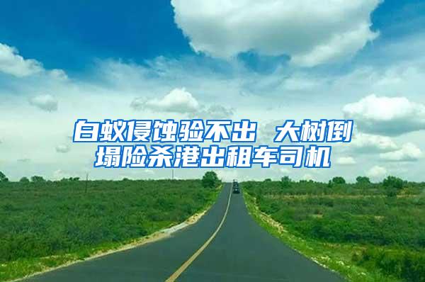 白蟻侵蝕驗不出 大樹倒塌險殺港出租車司機(jī)