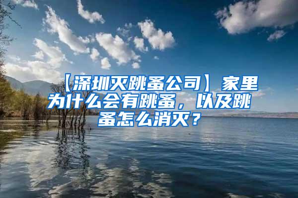 【深圳滅跳蚤公司】家里為什么會有跳蚤，以及跳蚤怎么消滅？