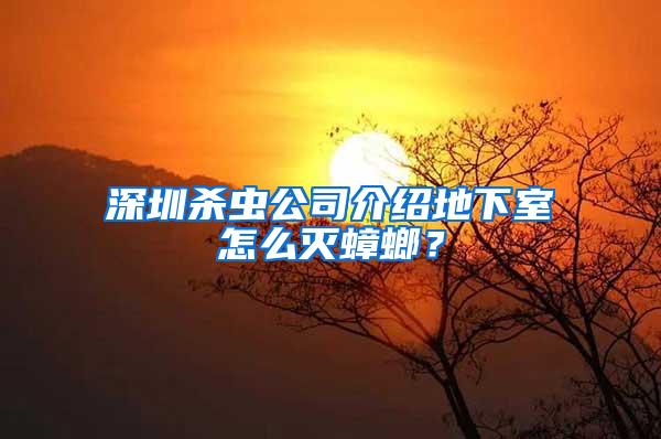 深圳殺蟲(chóng)公司介紹地下室怎么滅蟑螂？