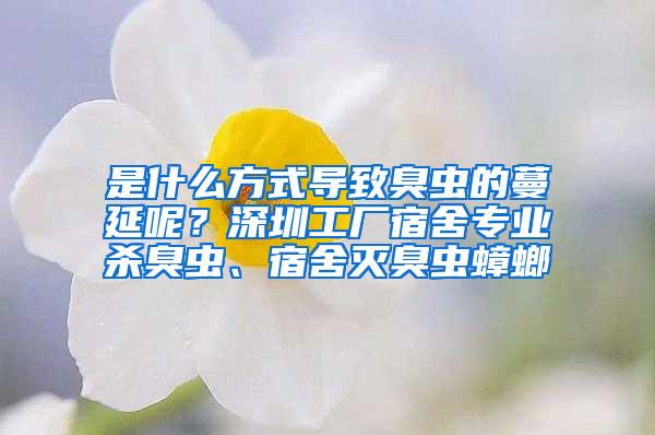 是什么方式導(dǎo)致臭蟲的蔓延呢？深圳工廠宿舍專業(yè)殺臭蟲、宿舍滅臭蟲蟑螂